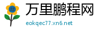 万里鹏程网